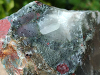 Natural Bloodstone Cobbed Specimens x 12 From Swaziland