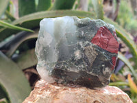 Natural Bloodstone Cobbed Specimens x 12 From Swaziland