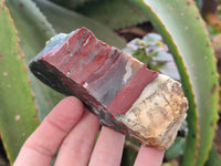 Natural Bloodstone Cobbed Specimens x 12 From Swaziland