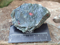 Natural Bloodstone Cobbed Specimens x 12 From Swaziland