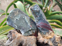 Natural Bloodstone Cobbed Specimens x 12 From Swaziland