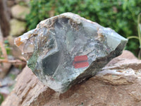 Natural Bloodstone Cobbed Specimens x 12 From Swaziland