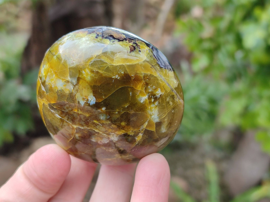 Polished Green Opal Palm Stones x 6 From Madagascar - Toprock Gemstones and Minerals 