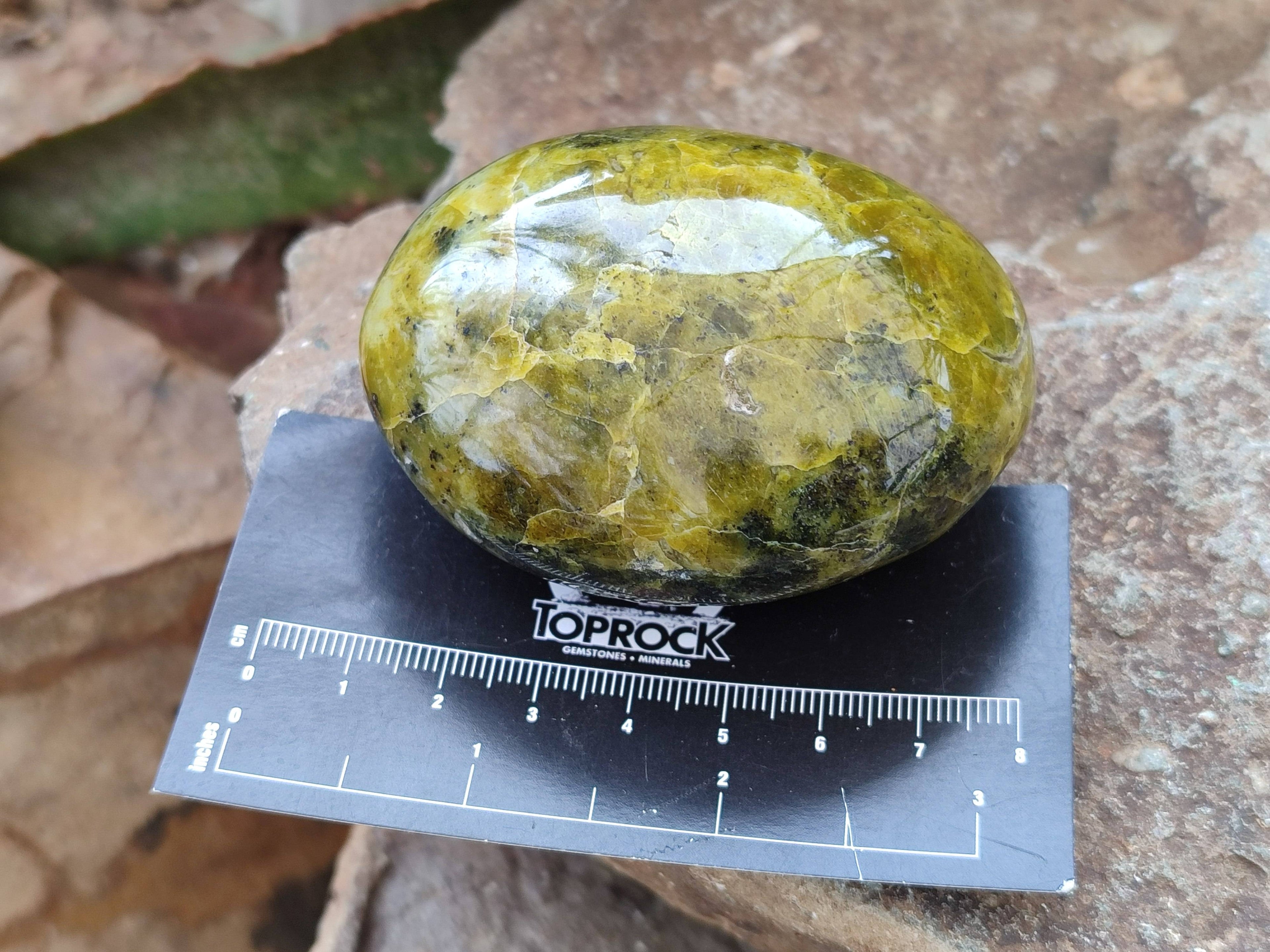 Polished Green Opal Palm Stones x 6 From Madagascar - Toprock Gemstones and Minerals 