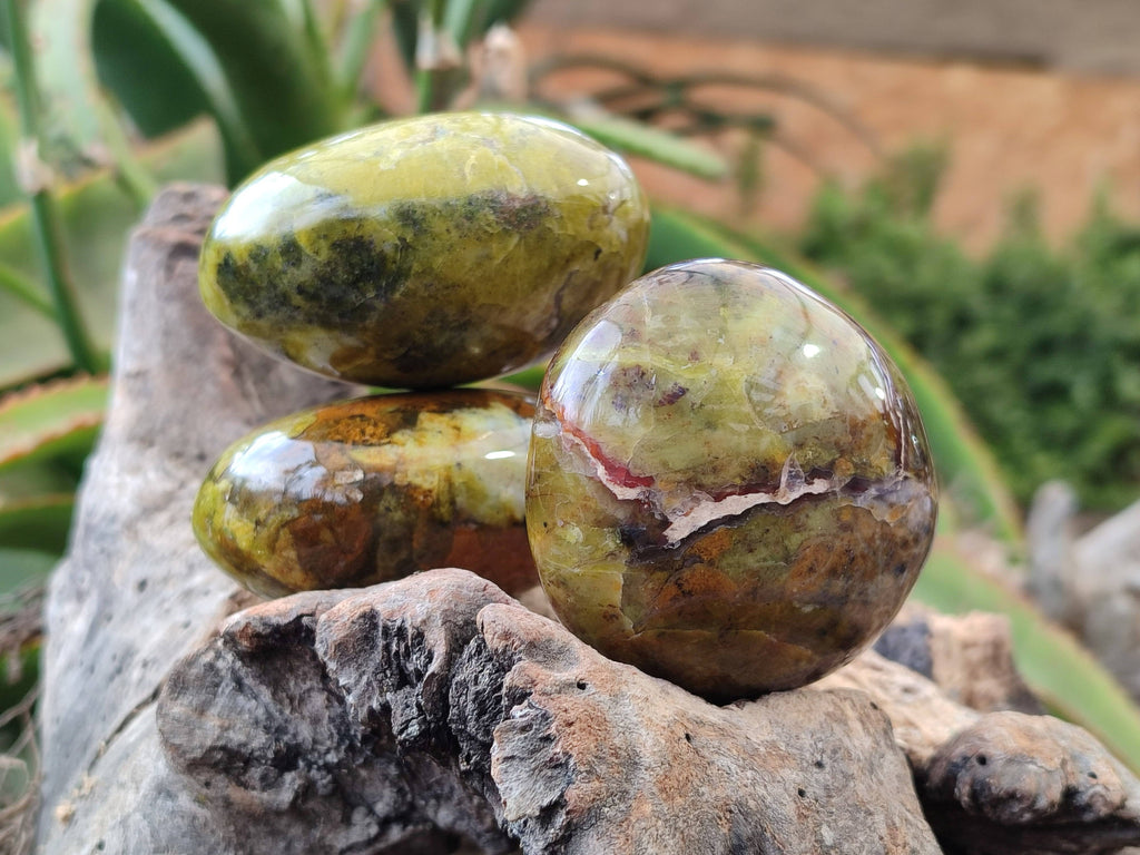 Polished Green Opal Palm Stones x 6 From Madagascar - Toprock Gemstones and Minerals 