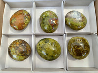Polished Green Opal Palm Stones x 6 From Madagascar - Toprock Gemstones and Minerals 