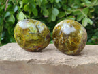 Polished Green Opal Palm Stones x 6 From Madagascar - Toprock Gemstones and Minerals 