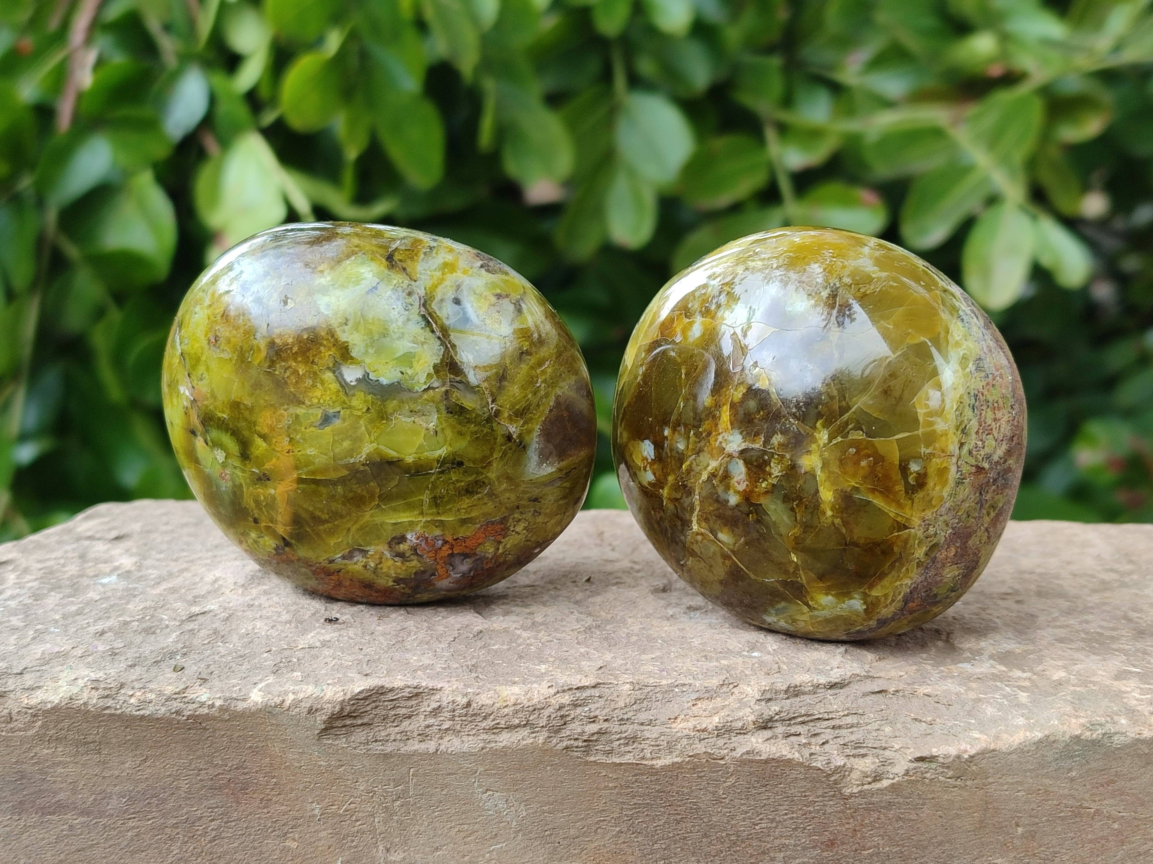 Polished Green Opal Palm Stones x 6 From Madagascar - Toprock Gemstones and Minerals 