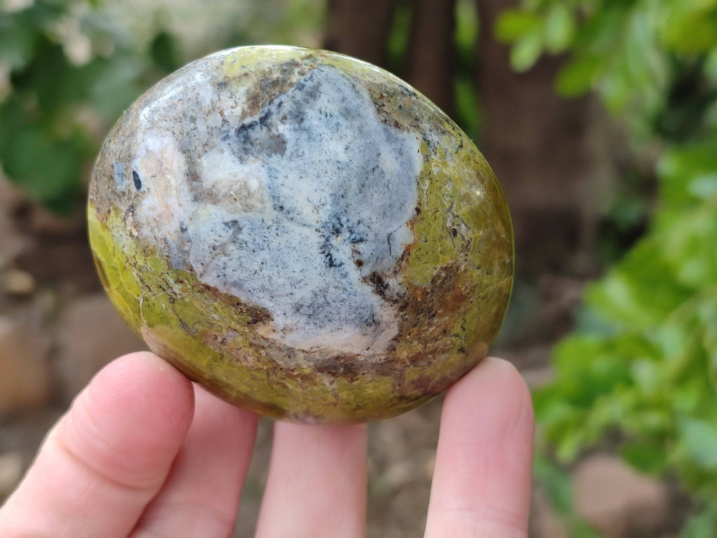 Polished Green Opal Palm Stones x 6 From Madagascar - Toprock Gemstones and Minerals 