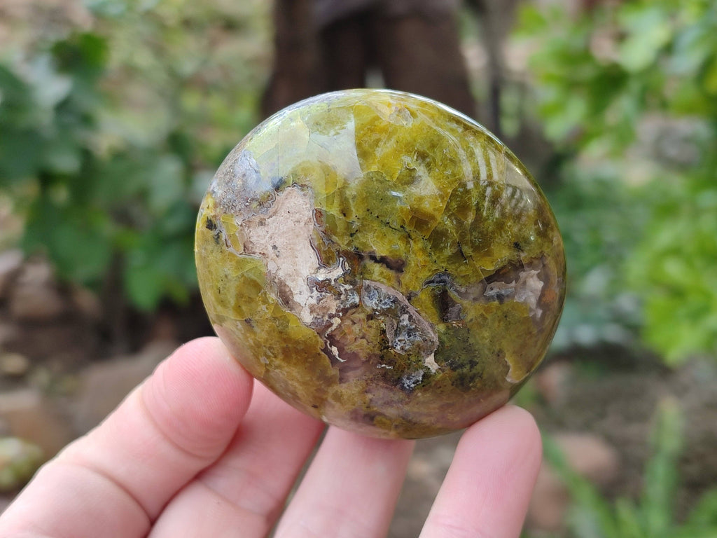 Polished Green Opal Palm Stones x 6 From Madagascar - Toprock Gemstones and Minerals 