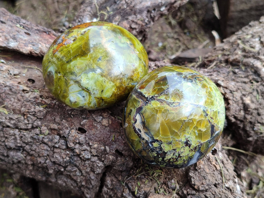Polished Green Opal Palm Stones x 6 From Madagascar - Toprock Gemstones and Minerals 