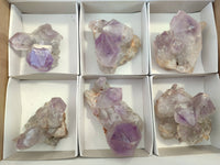Natural Jacaranda Amethyst Clusters x 6 From Zambia