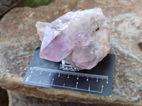 Natural Jacaranda Amethyst Clusters x 6 From Zambia