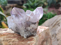 Natural Jacaranda Amethyst Clusters x 6 From Zambia