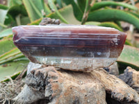 Polished On One Side Red Sashe River Agate Nodules x 7 From Zimbabwe - Toprock Gemstones and Minerals 