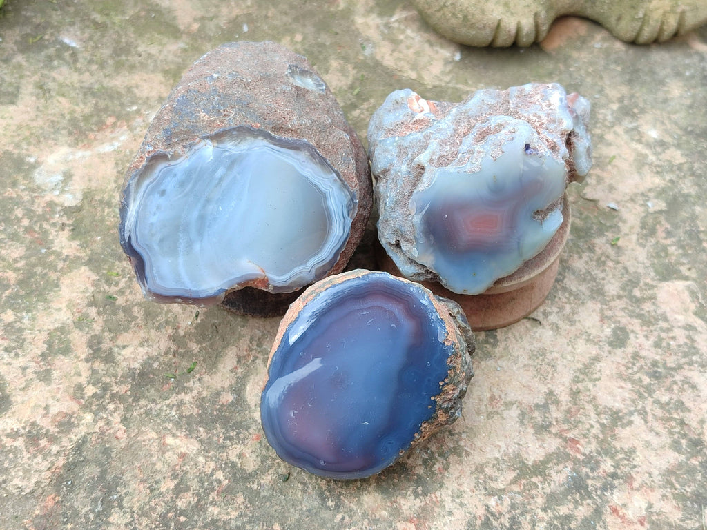 Polished On One Side Red Sashe River Agate Nodules x 7 From Zimbabwe - Toprock Gemstones and Minerals 