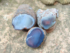 Polished On One Side Red Sashe River Agate Nodules x 7 From Zimbabwe - Toprock Gemstones and Minerals 