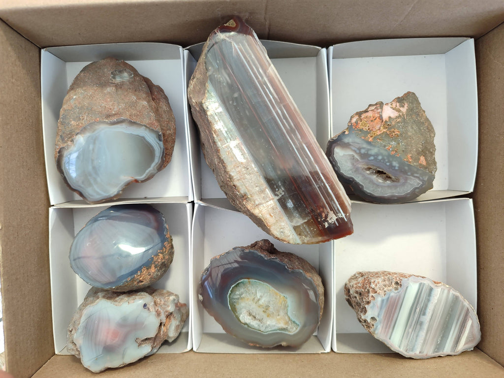 Polished On One Side Red Sashe River Agate Nodules x 7 From Zimbabwe - Toprock Gemstones and Minerals 