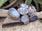 Polished On One Side Red Sashe River Agate Nodules x 7 From Zimbabwe - Toprock Gemstones and Minerals 