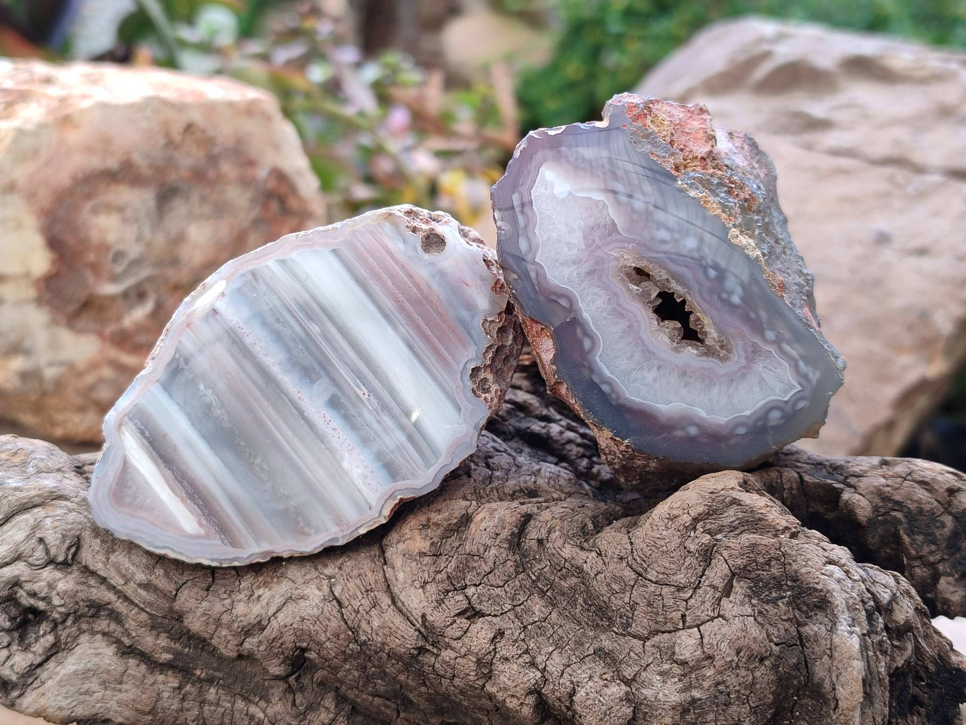 Polished On One Side Red Sashe River Agate Nodules x 7 From Zimbabwe - Toprock Gemstones and Minerals 