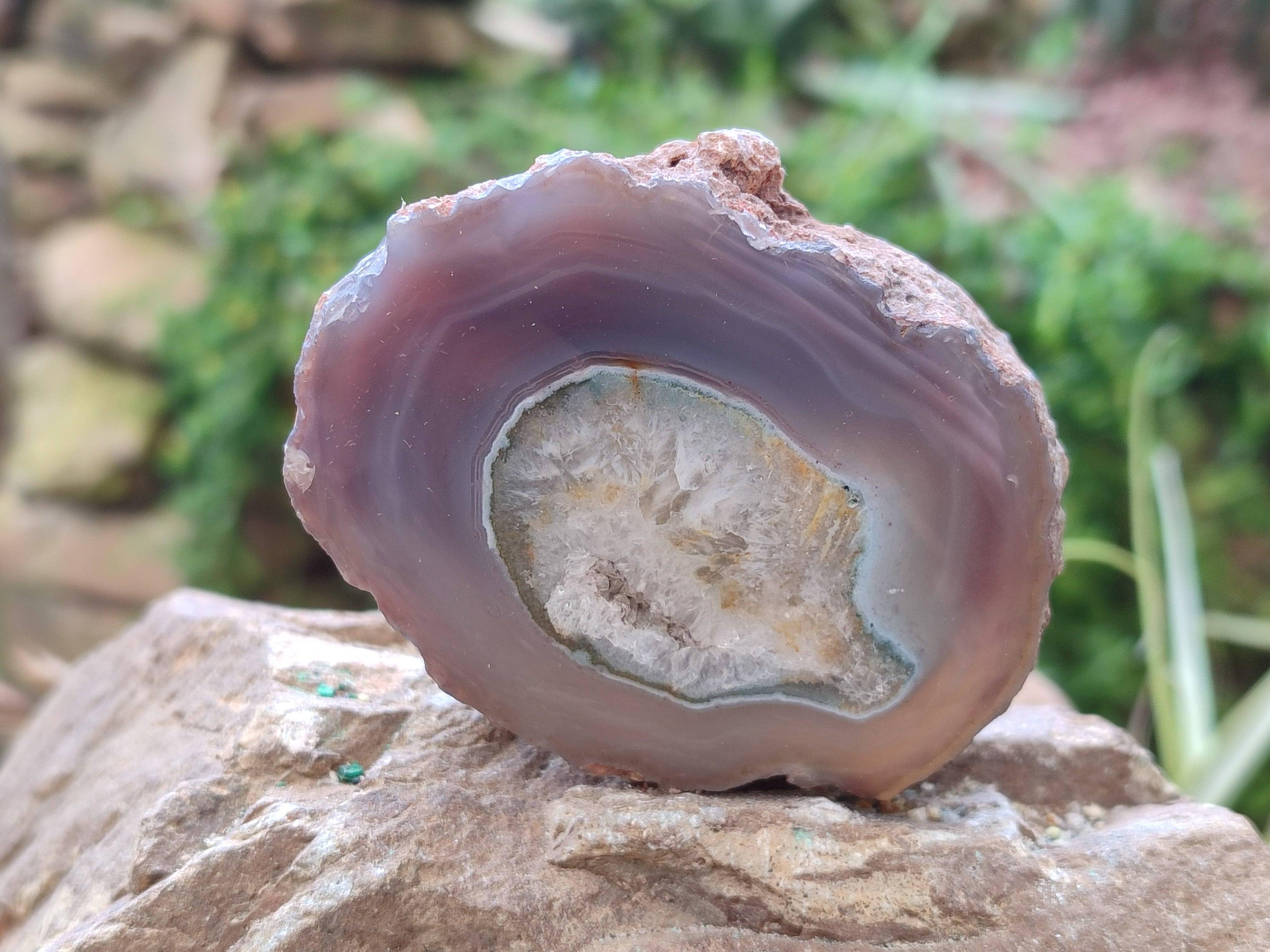 Polished On One Side Red Sashe River Agate Nodules x 7 From Zimbabwe - Toprock Gemstones and Minerals 