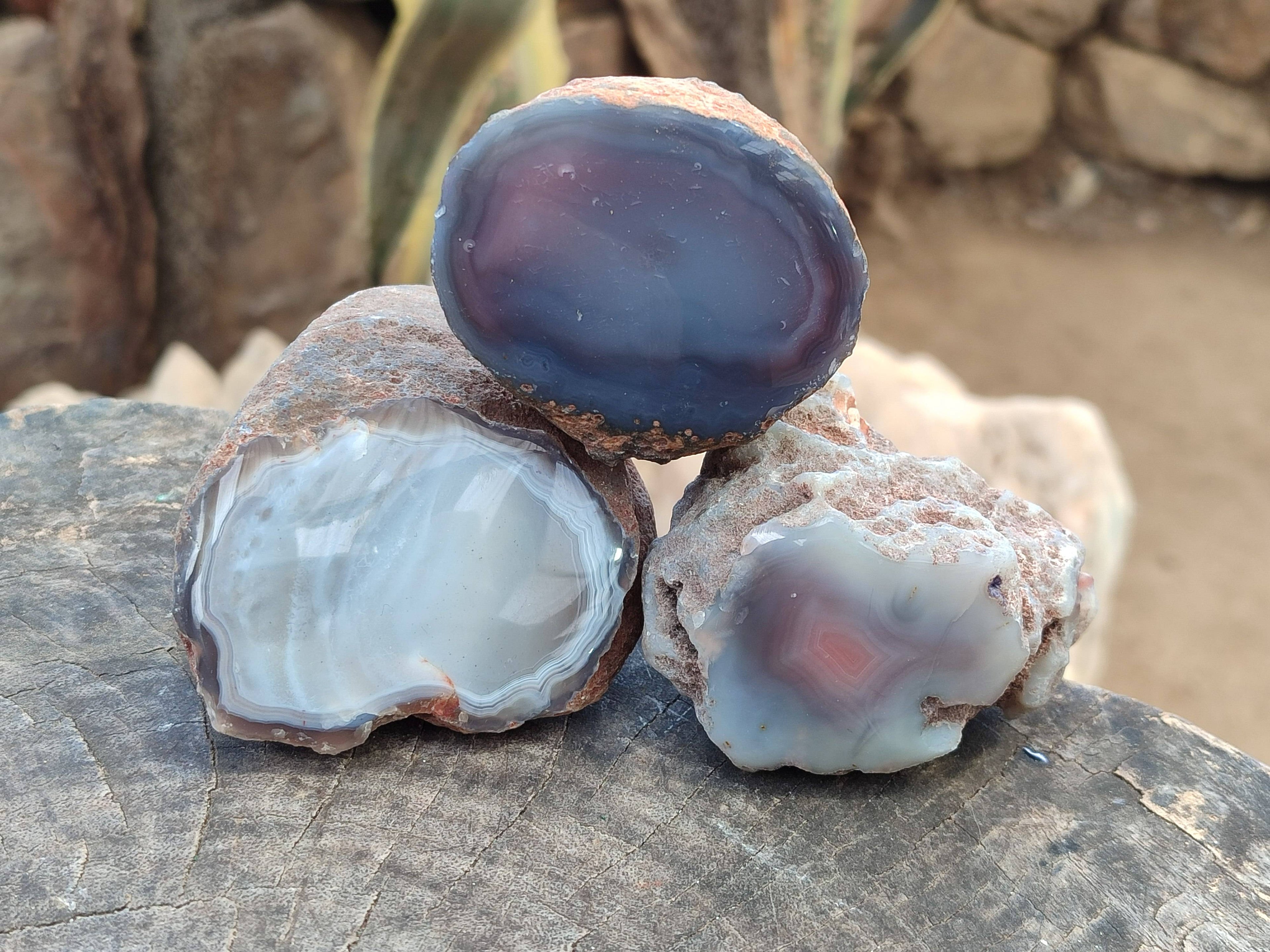 Polished On One Side Red Sashe River Agate Nodules x 7 From Zimbabwe - Toprock Gemstones and Minerals 