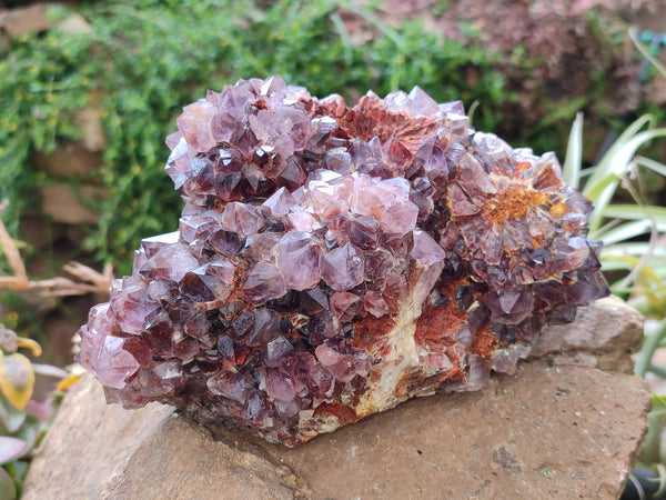 Natural Amethyst Spirit Quartz Cluster x 1 From Boekenhouthoek, South Africa