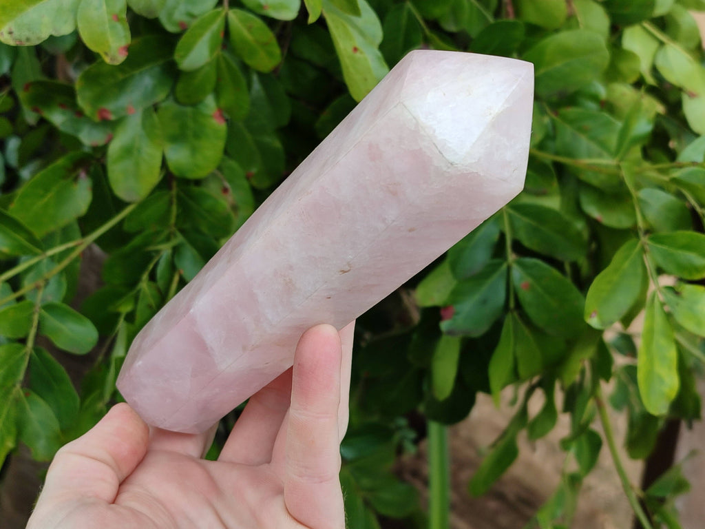 Polished Double Terminated Rose Quartz Points x 2 From Madagascar - Toprock Gemstones and Minerals 
