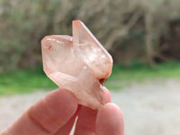 Natural Smokey Amethyst Quartz Crystals x 20 From Brandberg, Namibia