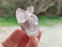 Natural Smokey Amethyst Quartz Crystals x 20 From Brandberg, Namibia