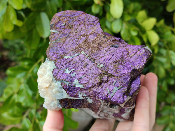 Natural Purpurite Specimens x 3 From Namibia