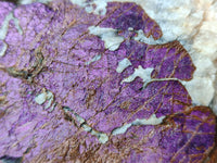 Natural Purpurite Specimens x 3 From Namibia