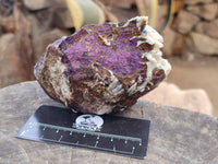 Natural Purpurite Specimens x 3 From Namibia