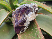 Natural Purpurite Specimens x 3 From Namibia