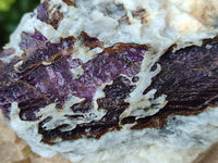 Natural Purpurite Specimens x 3 From Namibia