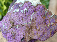Natural Purpurite Specimens x 3 From Namibia