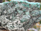 Natural Emerald Mica 'Mutokolite' Specimen x 1 From Mutoko, Zimbabwe - Toprock Gemstones and Minerals 