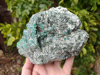 Natural Emerald Mica 'Mutokolite' Specimen x 1 From Mutoko, Zimbabwe - Toprock Gemstones and Minerals 