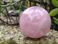 Polished Star Rose Quartz Spheres x 4 Madagascar