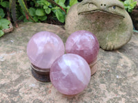 Polished Star Rose Quartz Spheres x 4 Madagascar