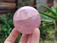 Polished Star Rose Quartz Spheres x 4 Madagascar