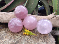 Polished Star Rose Quartz Spheres x 4 Madagascar