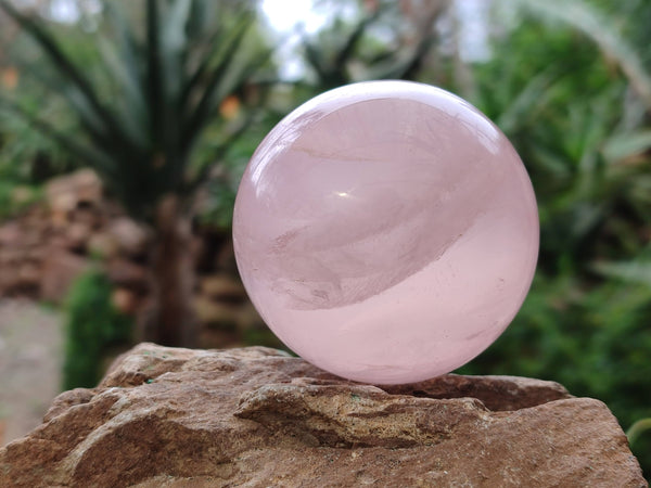 Polished Star Rose Quartz Spheres x 4 Madagascar