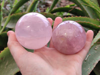 Polished Star Rose Quartz Spheres x 4 Madagascar