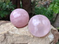 Polished Star Rose Quartz Spheres x 4 Madagascar