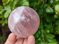 Polished Star Rose Quartz Spheres x 4 Madagascar