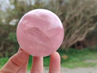Polished Star Rose Quartz Spheres x 4 Madagascar