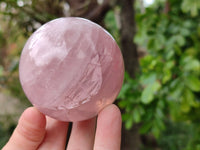 Polished Star Rose Quartz Spheres x 4 Madagascar