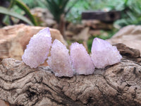 Natural Amethyst Spirit Quartz Specimens x 70 From Boekenhouthoek, South Africa
