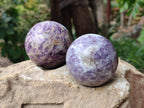 Polished Lepidolite Spheres x 4 From Ambatondrazaka, Madagascar - Toprock Gemstones and Minerals 